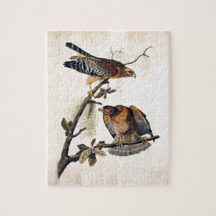 J.J. Audubon (Red Shouldered Hawk) (1829) Jigsaw Puzzle