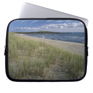 J.T. Chessman Provincial Park, Dune grass Laptop Sleeve