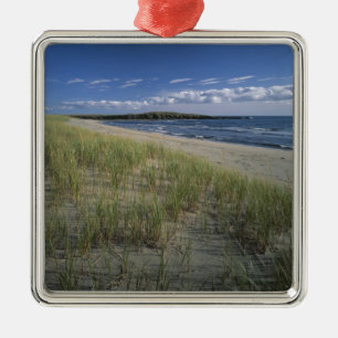 J.T. Chessman Provincial Park, Dune grass Metal Ornament