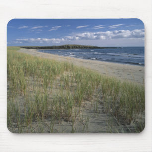 J.T. Chessman Provincial Park, Dune grass Mouse Pad