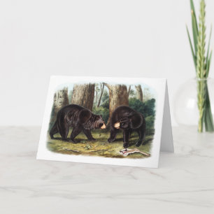 J.W. Audubon - Ursus Americanus Black Bear Card