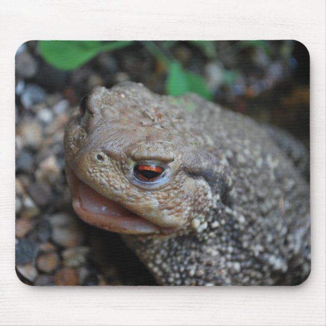 Jabba the Toad Mouse Pad (Front)
