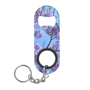 Jacaranda Blossoms