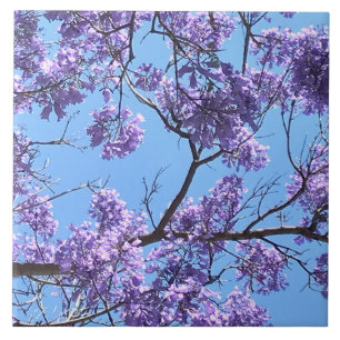 Jacaranda Blossoms Ceramic Tile