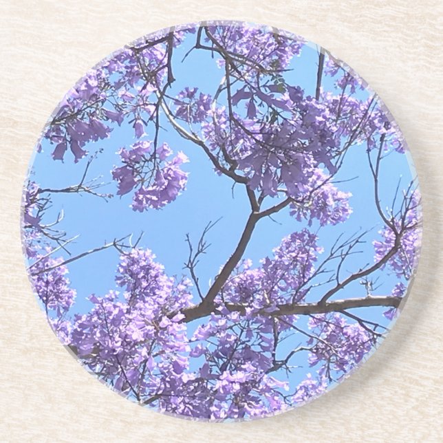 Jacaranda Blossoms Coaster (Front)