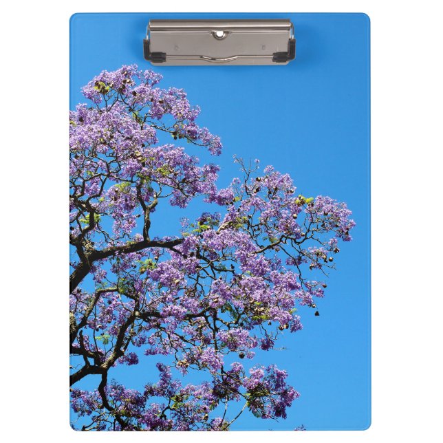 Jacaranda Clipboard (Front)
