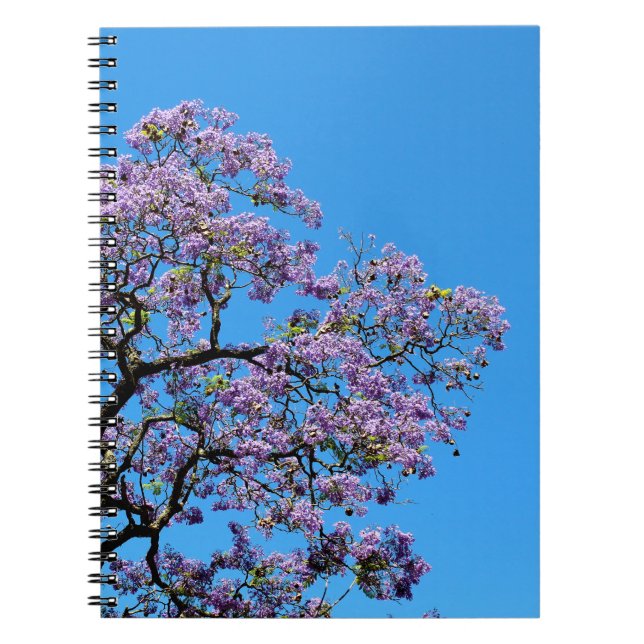 Jacaranda Notebook (Front)