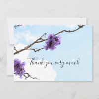 Jacaranda purple flower on the tree