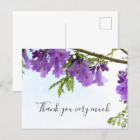 Jacaranda Purple Flowers  Australia on the tree   