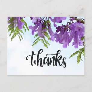 Jacaranda Purple flowers blooming on the tree Postcard