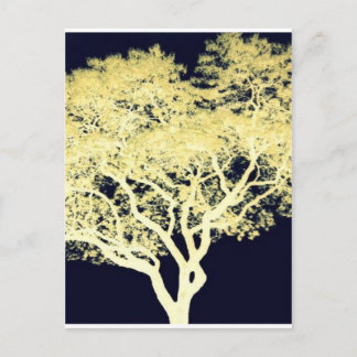 Jacaranda Tree Postcard