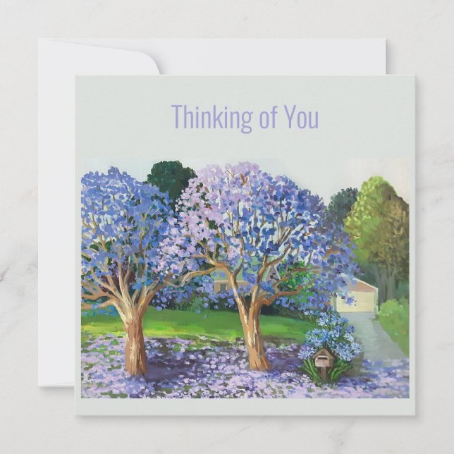 Jacaranda trees  (Front)