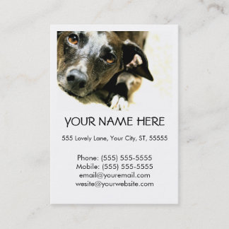 Jack  Business Card