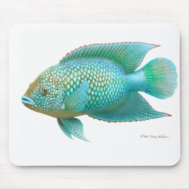 Jack Dempsey Cichlid Fish Mouse Pad (Front)