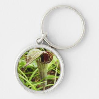 Jack in the Pulpit Key Ring