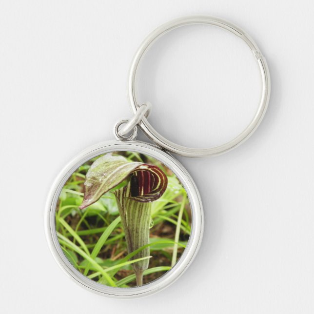 Jack in the Pulpit Key Ring (Front)