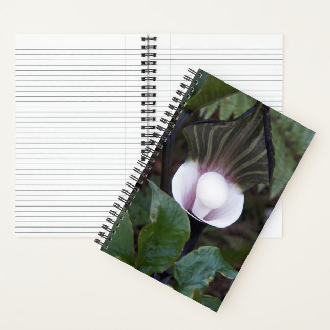 Jack-in-the-Pulpit Plant Botanical Notebook (Inside)