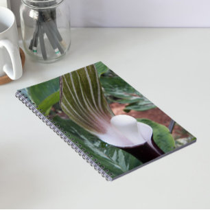 Jack-in-the-Pulpit Plant Floral Notebook