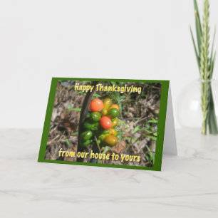 Jack in the Pulpit Seeds Happy Thanksgiving Card