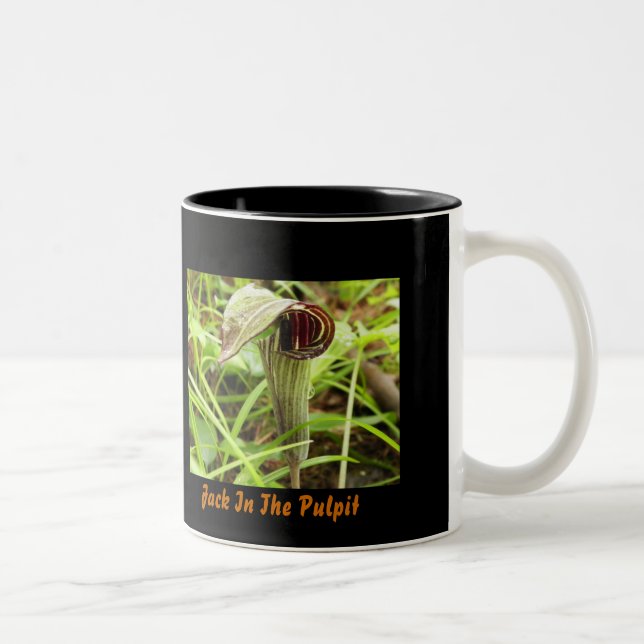 Jack in the Pulpit Two-Tone Coffee Mug (Right)