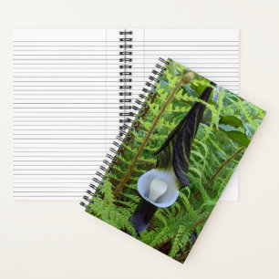 Jack-in-the-Pulpit Woodland Plant Notebook