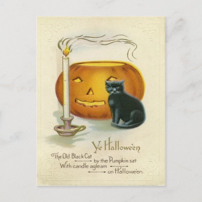 Jack O Lantern Black Cat Candle Postcard (Front)
