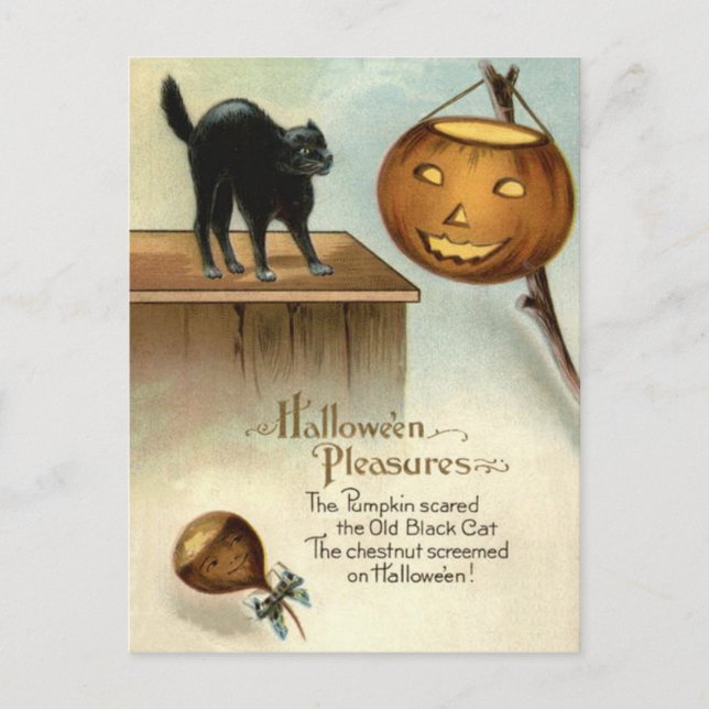 Jack O' Lantern Black Cat Chestnut Pumpkin Postcard (Front)