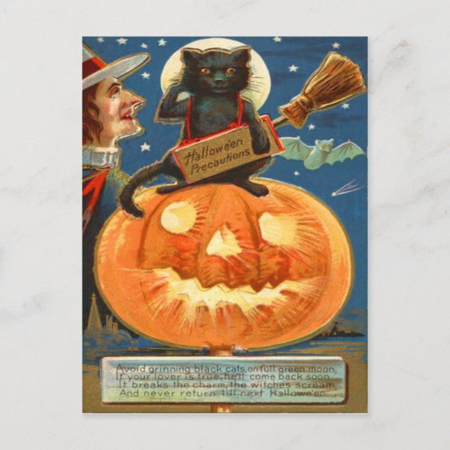 Jack O Lantern Black Cat Witch Bat Postcard (Front)
