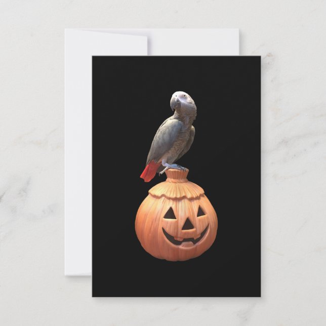 Jack-O-Lantern Halloween African Grey Parrot Card (Front)