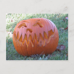 Jack O Lantern Postcard
