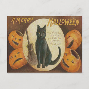 Jack O' Lantern Pumpkin Black Cat Broom Postcard