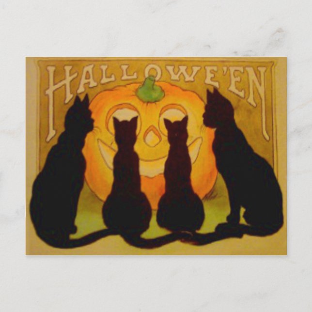 Jack O Lantern Pumpkin Black Cat Postcard (Front)