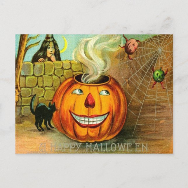 Jack O Lantern Pumpkin Black Cat spider Web Postcard (Front)