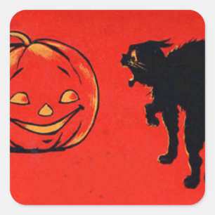 Jack O Lantern Pumpkin Black Cat Square Sticker