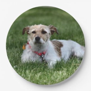 Jack paper plate