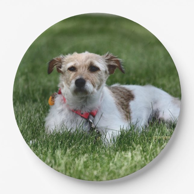 Jack  paper plate (Front)