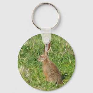 Jack Rabbit keychain