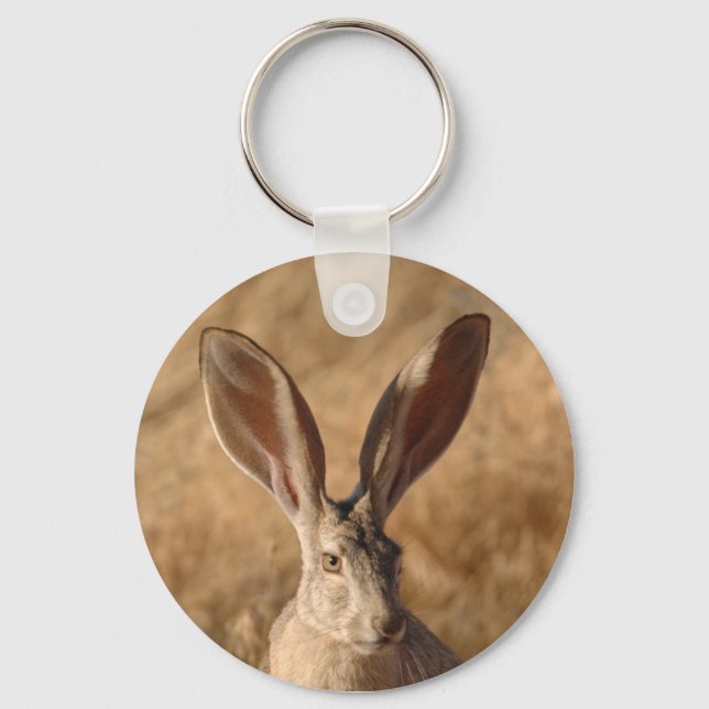 Jack rabbit with large ears colour photo keychain (Front)
