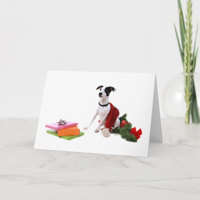 jack russel and Christmas, Holiday Card (Front)