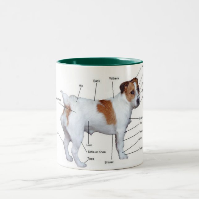 Jack Russel diagram mug. Two-Tone Coffee Mug (Center)