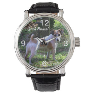 Jack Russel Dog Watch