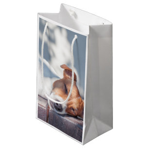 Jack Russel On Autumn Porch Small Gift Bag