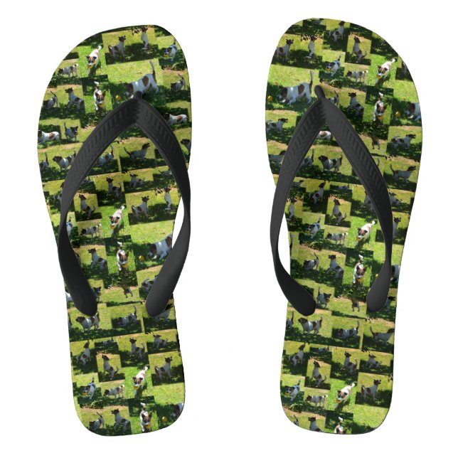 Jack Russel Photo Collage, Thongs (Footbed)