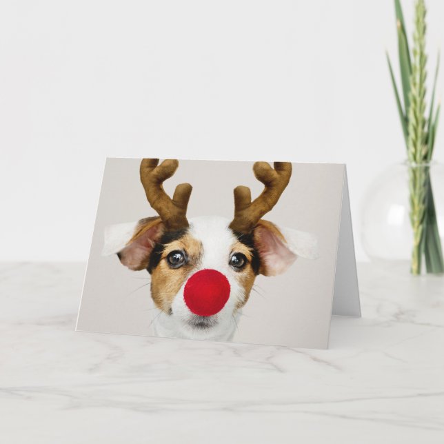 JACK RUSSEL TERRIER AS REINDEER Greeting Card (Front)
