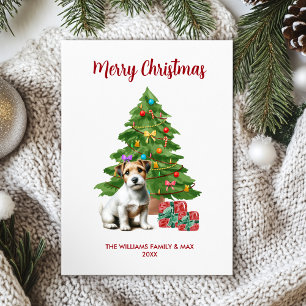 Jack Russel Terrier Christmas Card