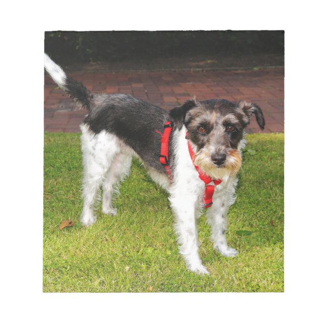 jack russel terrier notepad (Front)