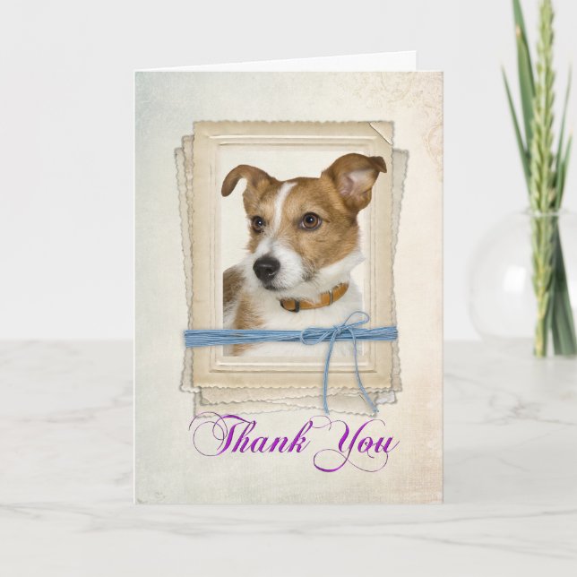 Jack Russel Terrier Thank You Card (Front)