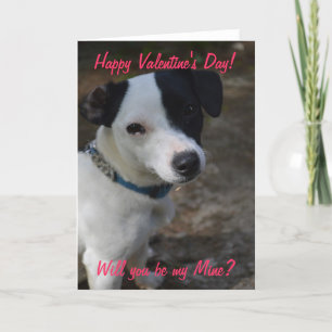Jack Russel Valentines Card