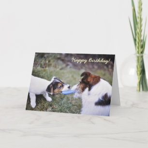 Jack Russell birthday card
