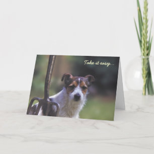 Jack Russell birthday card